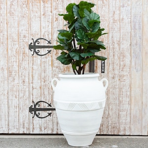May include: A white ceramic planter with two handles and a decorative pattern around the middle. A green leafy plant is growing inside the planter. The planter is in front of a white wooden door with black metal hinges.