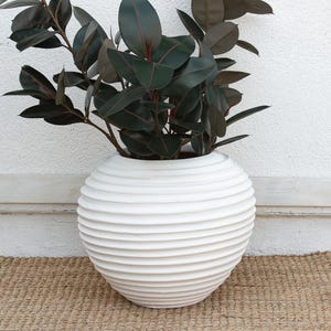 May include: A white, spherical planter with a ribbed design, holding a lush plant with dark green and burgundy leaves. The planter sits on a woven jute rug against a white wall, creating a minimalist aesthetic.