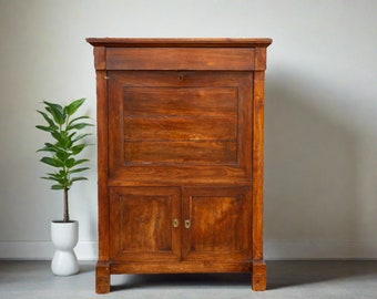 Original 19th Century French Louis Philippe Secretary,  Antique Mahogany Secretary Cabinet, French Secretary Cabinet, Elegant French Cabinet