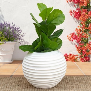 May include: A white, spherical planter with horizontal ridges holds a lush green plant with large leaves. Other plants in white pots and vibrant red flowers are also visible, creating a bright, outdoor scene.
