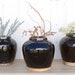 see more listings in the Pots / Vases section