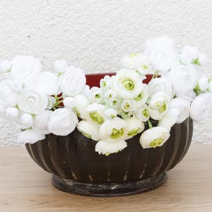 May include: A dark brown, fluted bowl overflowing with white ranunculus flowers. The flowers have multiple layers of delicate petals and a pale green center. The bowl sits on a wooden surface against a textured white wall.