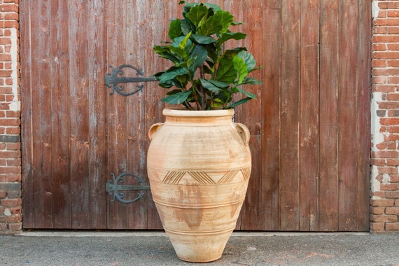 Image of Terracotta planter outdoor