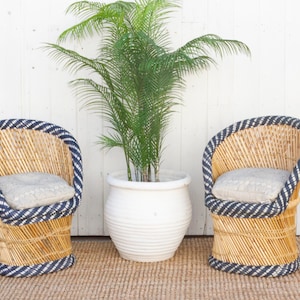 May include: Two bamboo chairs with navy blue and white trim and gray cushions flank a white pot with a green plant. The chairs are made of woven bamboo and have a rounded back. The background is a white wooden wall.