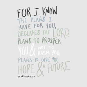 Jeremiah 29:11 Digital Print Grey || Hand Drawn Bible Verse || DIgital FIle Print for Wall, Bulletin Board, Classroom