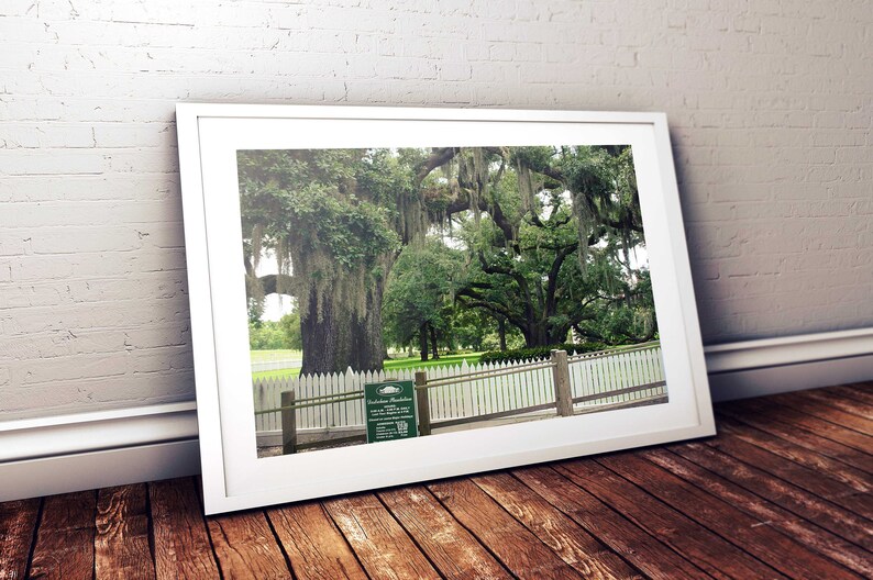 Louisiana Plantation Destrehan Plantation Metal Print Wall Etsy