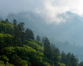 Impresión fotográfica o lienzo con vista a las Montañas Humeantes