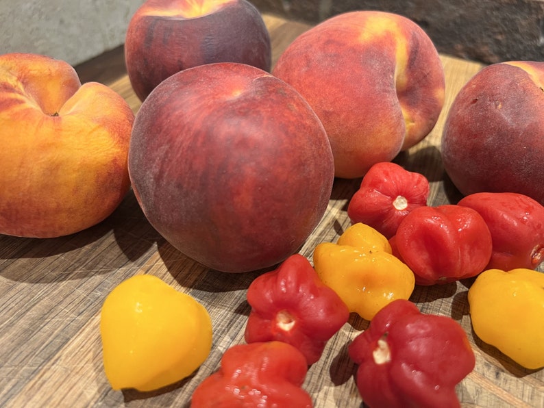 Peach Scotch Pepper Jelly Etsy