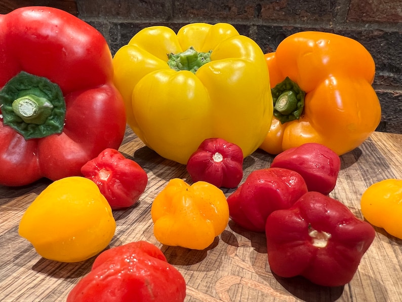 Scotch Pepper Jelly Trio 10 Oz Etsy