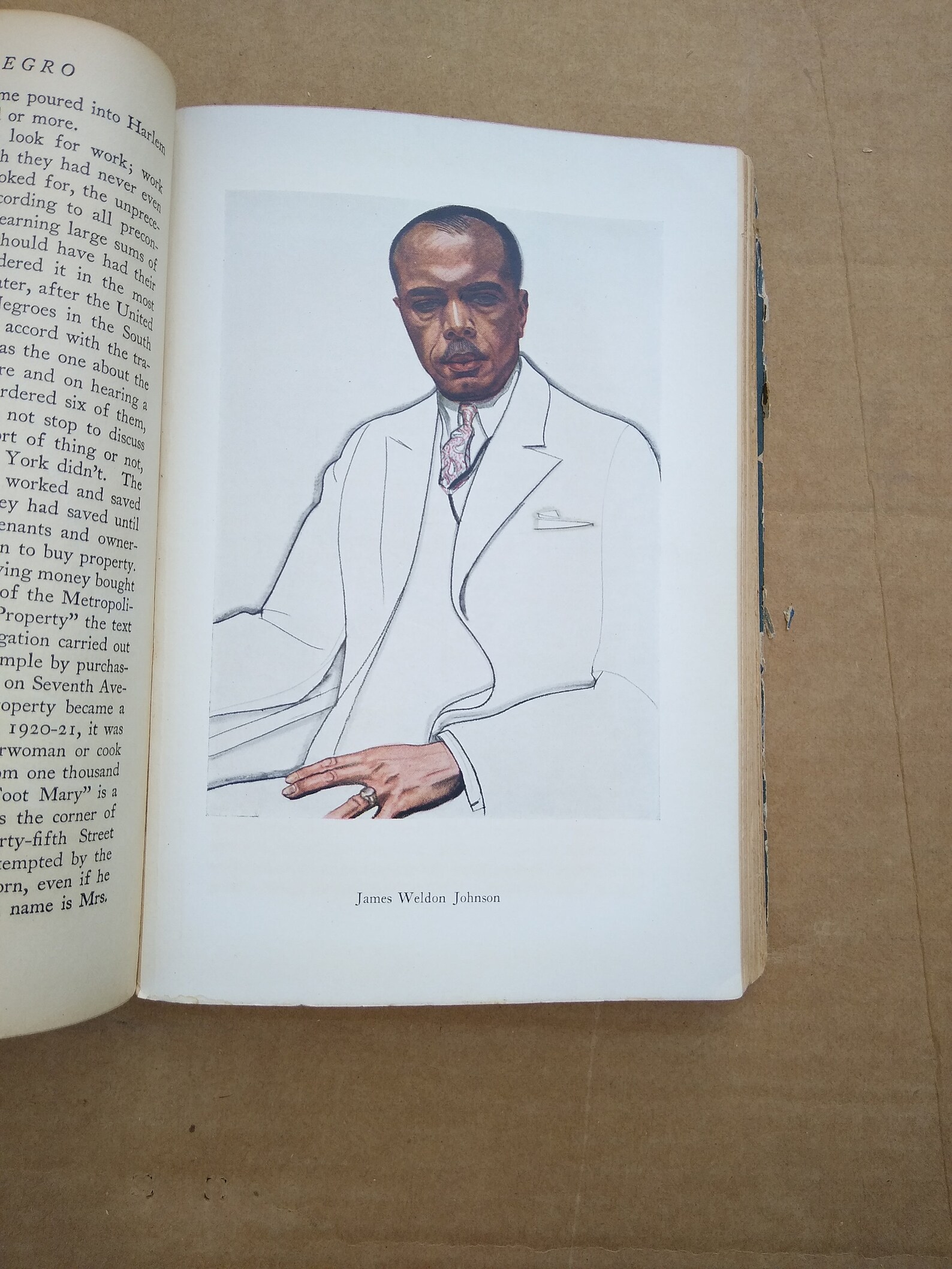 The New Negro An Interpretation par ALAIN LOCKE Etsy