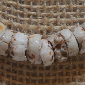 Tiger Puka Shell Choker image 3