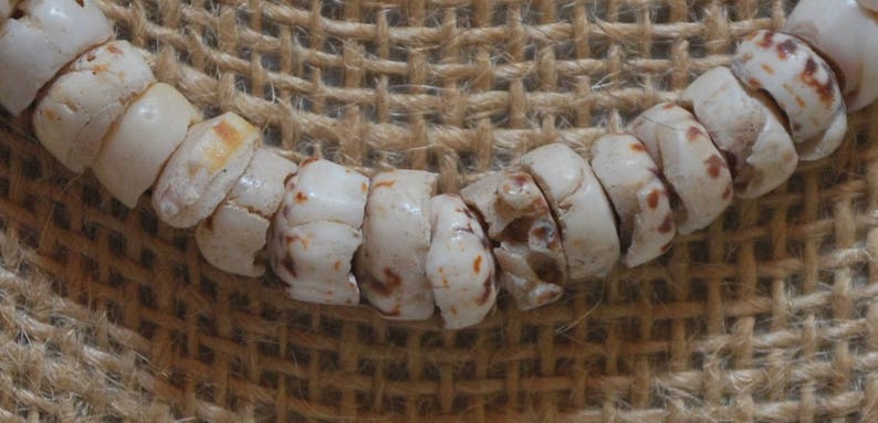 Tiger Puka Shell Choker image 3