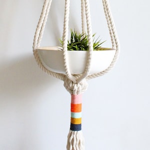 Könnte beinhalten: Ein weißer Makramee-Pflanzenhänger mit einem weißen Topf und einer grünen Pflanze. Der Hänger hat einen bunten, gestreiften Quasten am unteren Ende.