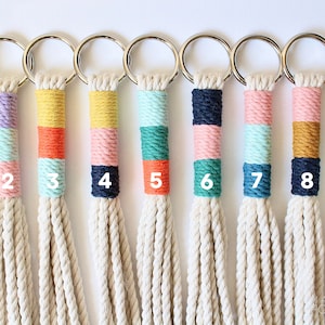 Macrame Plant Hanger, Hanging Planter, Color Block, Birthday Gift, NEW COLORS