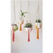 see more listings in the Dip-Dyed Plant Hangers section