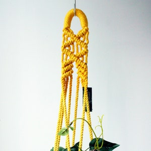 Macrame Plant Hanger, Hand Dyed, Hanging Planter, Bohemian Home Decor, MADE TO ORDER image 2