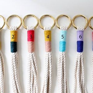 Macrame Plant Hanger, Hanging Planter, Slim Plant Hanger, Indoor Plant Hanger, Color Block