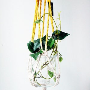 Macrame Plant Hanger, Hand Dyed, Hanging Planter, Bohemian Home Decor, MADE TO ORDER image 3