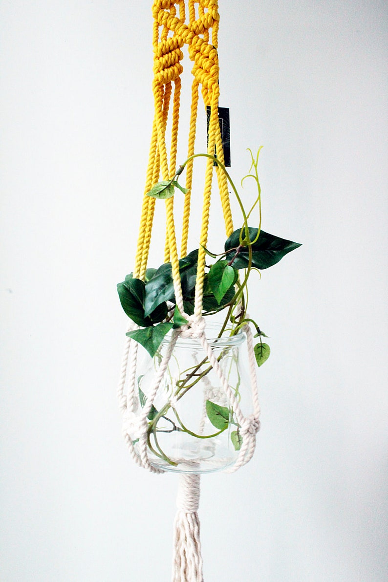 Macrame Plant Hanger, Hand Dyed, Hanging Planter, Bohemian Home Decor, MADE TO ORDER image 3