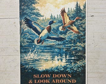 Slow Down and Look Around Woodland Ducks Postcard