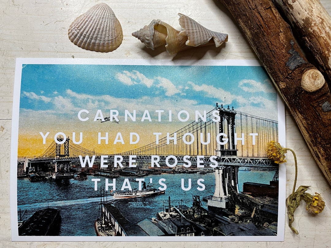 Carnations You Had Thought Were Roses Customizable Vintage Etsy