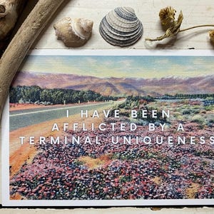 May include: A postcard featuring a scenic landscape with a road, mountains, and a field of flowers. The text "I HAVE BEEN AFFLICTED BY A TERMINAL UNIQUENESS" is printed in white. Seashells and driftwood are arranged around the postcard.