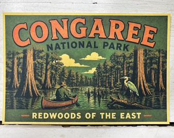 Postcard Congaree National Park Redwoods of the East South Carolina Canoe in Swamp Retro Vacation Travel