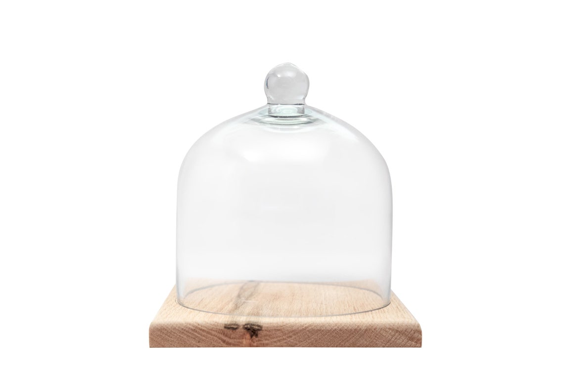 Glass Smoking Dome Replacement Etsy