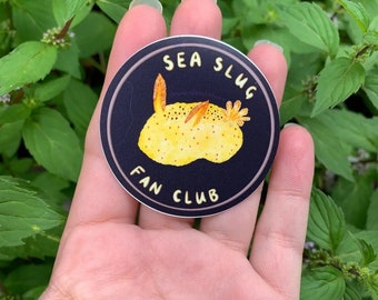 Sea Slug Fan Club Sticker (Vinyl) - FREE SHIPPING - Nudibranch - Sea Lemon