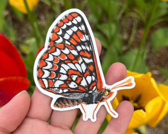 Taylor's Checkerspot Butterfly Sticker (Vinyl) - FREE SHIPPING - Endangered Species Pollinator Sticker