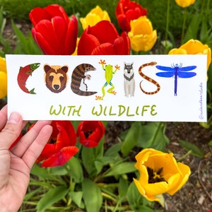 BUMPER STICKER - Coexist With Wildlife - Vinyl - Weatherproof, Waterproof