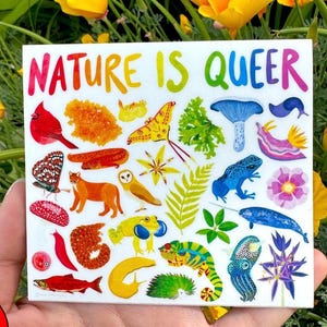 Nature Is Queer Sticker (Eco Vinyl) - Queer Ecology 2SLGBTQIA+ Rainbow Sticker - Weatherproof, Waterproof - FREE SHIPPING