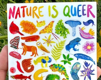Nature Is Queer Sticker (Eco Vinyl) - Queer Ecology 2SLGBTQIA+ Rainbow Sticker - Weatherproof, Waterproof - FREE SHIPPING