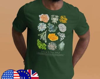 Eco-Friendly Lichens of the Pacific Northwest T-Shirt (XS-5XL) - Cotton Unisex Nature Tee, Multiple Colour Options - Owl and Bear Studio