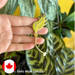 Bull Kelp Pin! - 25% to Charity - Nereocystis luetkeana - Kelp Forest - Hard Enamel Pin - Supports Wildlife Conservation
