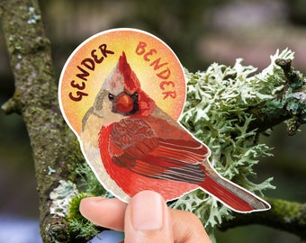 Gender Bender - Northern Cardinal Sticker (Vinyl) - Chimaera - Intersex Pride - Bilateral Gynandromorph - FREE SHIPPING