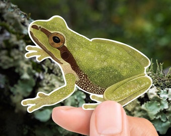 Pacific Chorus Frog Sticker (Vinyl) - Tree Frog - FREE SHIPPING