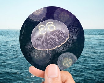 Moon Jellies Sticker - Jellyfish Circle (Vinyl) - FREE SHIPPING