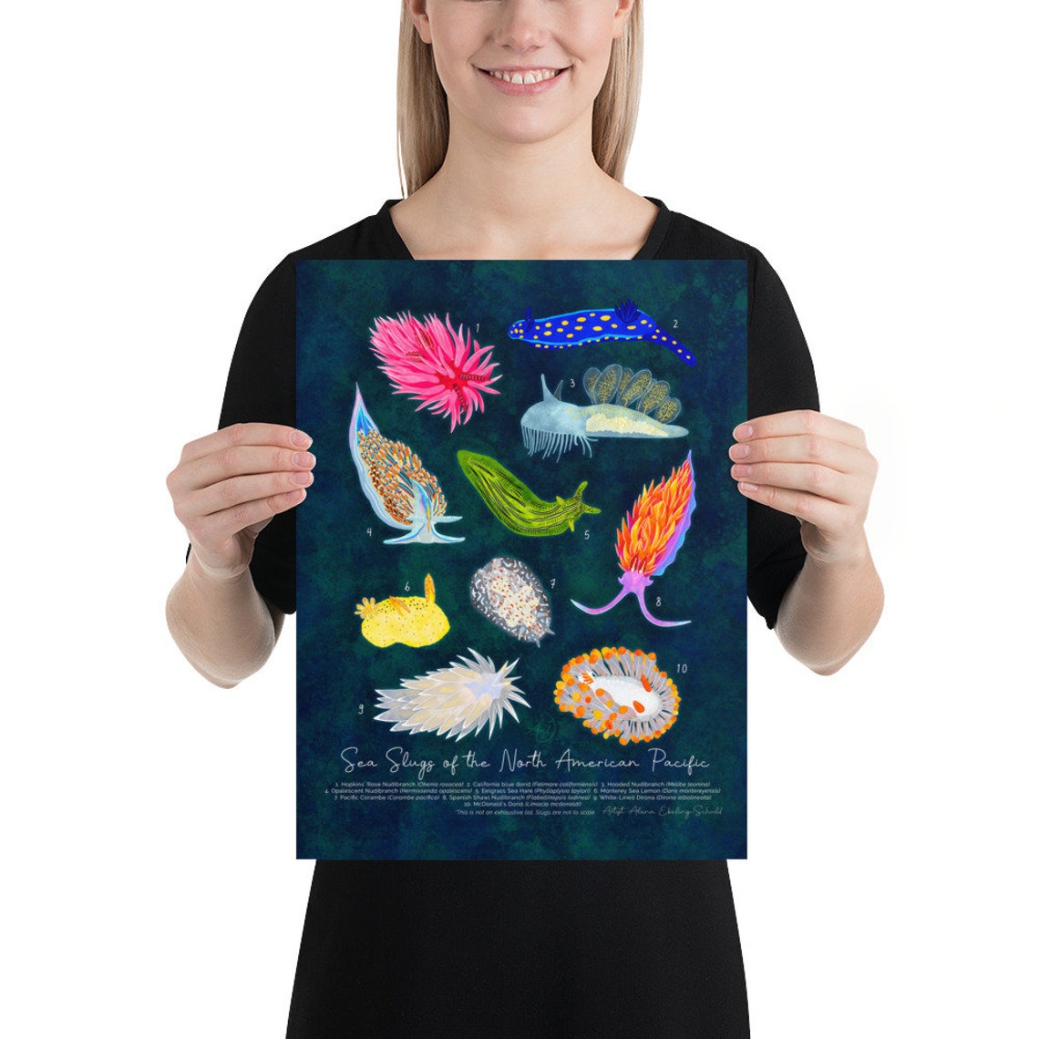 Sea Slugs of the North American Pacific - Fine Art Print - Nudibranch ...