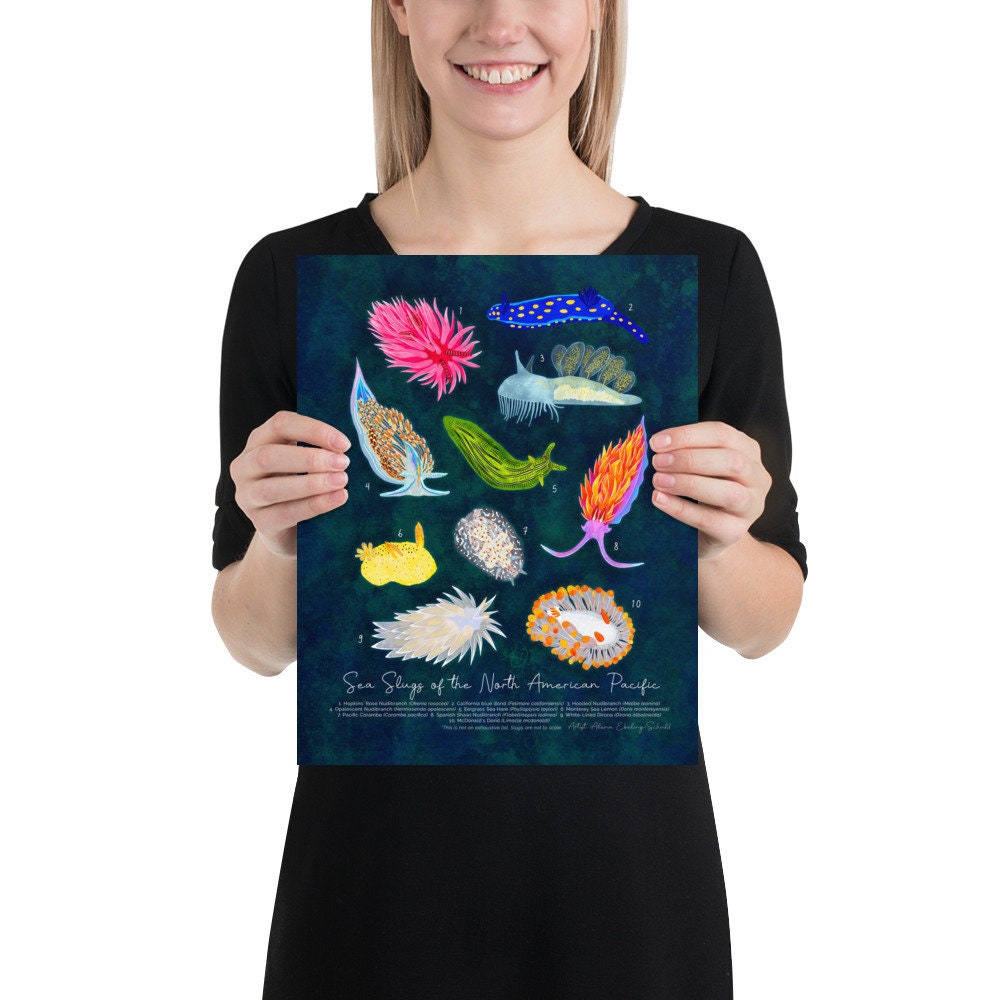 Sea Slugs of the North American Pacific - Fine Art Print - Nudibranch ...