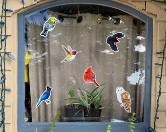 Anti-Strike Bird Window Decals - 10% to Charity! - Set of 6 - Window Strike Prevention Stickers