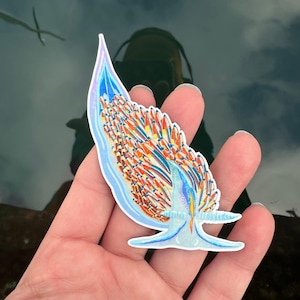 May include: A colorful sticker featuring a sea slug design. The sticker showcases a vibrant sea slug with a blue body, orange and yellow details, and a light blue outline. The design is detailed and artistic.