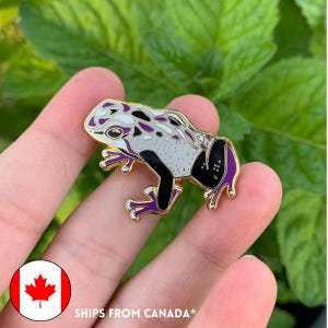 Asexual Pride Frog Pin - 25% to Charity - Queer-Owned Business! - LGBTQ2SIA+ - LGBTQ - Subtle Ace Pride Flag Hard Enamel Pin