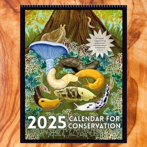 PREORDINA: Calendario Ambientale 2025 (include 12 stampe artistiche 20x25 cm) - 30% in beneficenza! Carta riciclata, inchiostri ecocompatibili - Spedizione a novembre