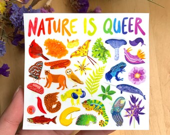 Nature Is Queer Sticker - Eco Vinyl (FREE SHIPPING) - Weatherproof, Waterproof - Rainbow - Pride