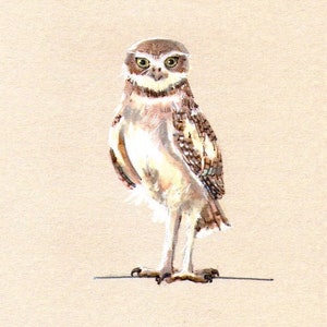 Carte dessinée à la main - Carte Owl Lovers - Carte de graduation - Carte d’anniversaire - Carte de toute occasion - Illustration d’oiseau - Carte vierge 4,25 x 5,5