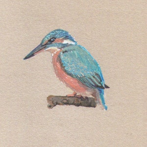 Cartão Kingfisher - Cartão de Aniversário - Amantes de Pássaros - para Namorada, para Namorado - para Noiva - Desenho a Tinta Original - 4,25x5,5