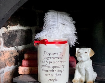 May include: A cream-colored ceramic crock featuring a red ribbon tied around the rim and black text that reads: Dogtrovert: [dog-tro-vert] (n.) A person who prefers spending time with dogs rather than people. A white feather plume sits inside.