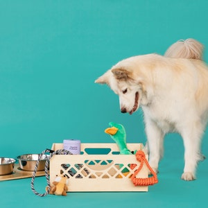 Medium Pet Bowl // Apple Crate // Milk Crate Dog Dish // Food Storage for Pets // Cat Feeder image 4