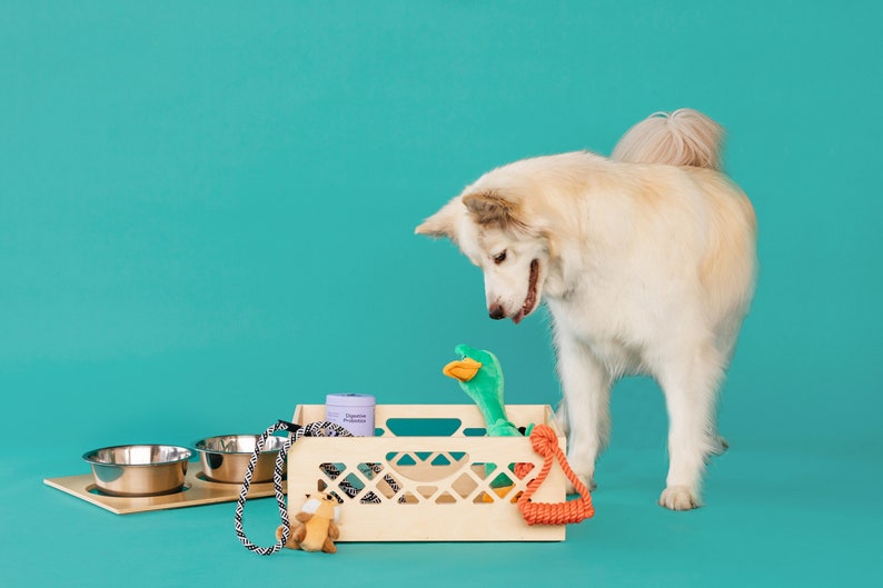 Medium Pet Bowl // Apple Crate // Milk Crate Dog Dish // Food Storage for Pets // Cat Feeder image 4